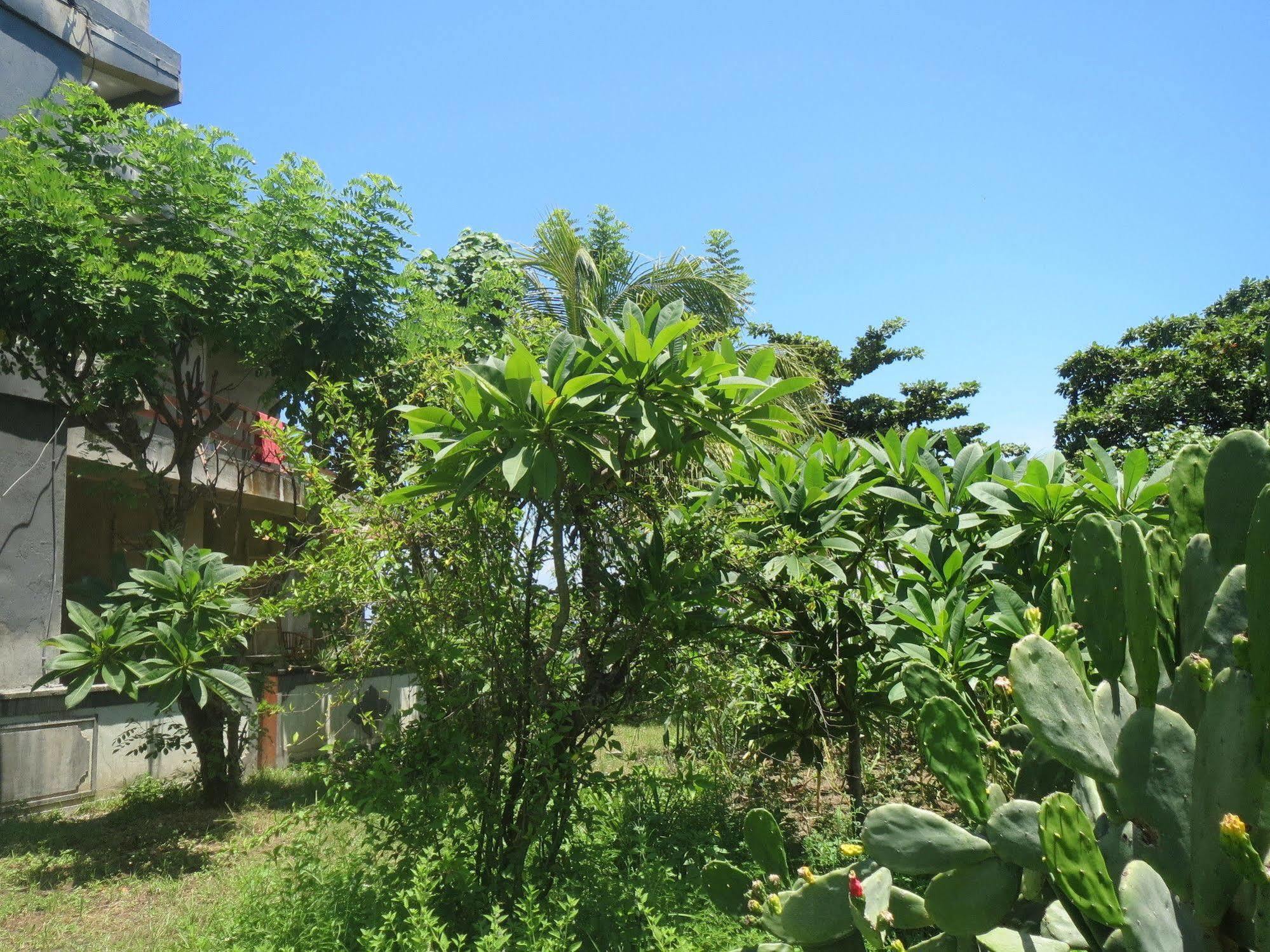 Amed Sari Beach Guesthouse Buitenkant foto